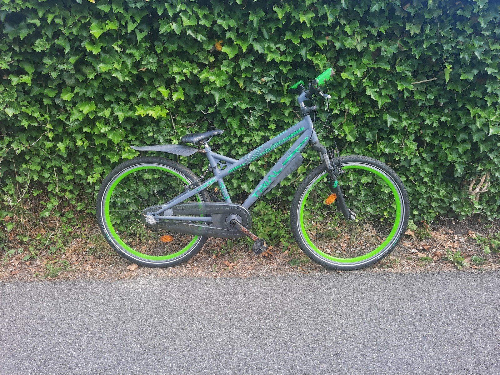 Alpina Trail 3 26 inch met 3 versnellingen, Ophalen of Verzenden, Gebruikt, Overige merken, Versnellingen