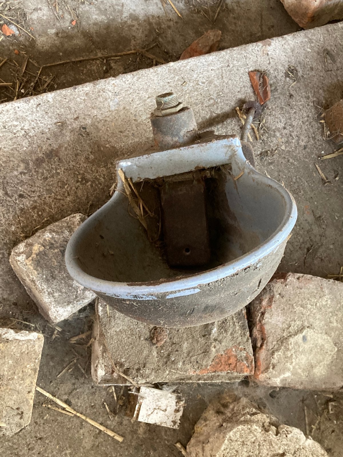Water bakje koeien nostalgie, Ophalen