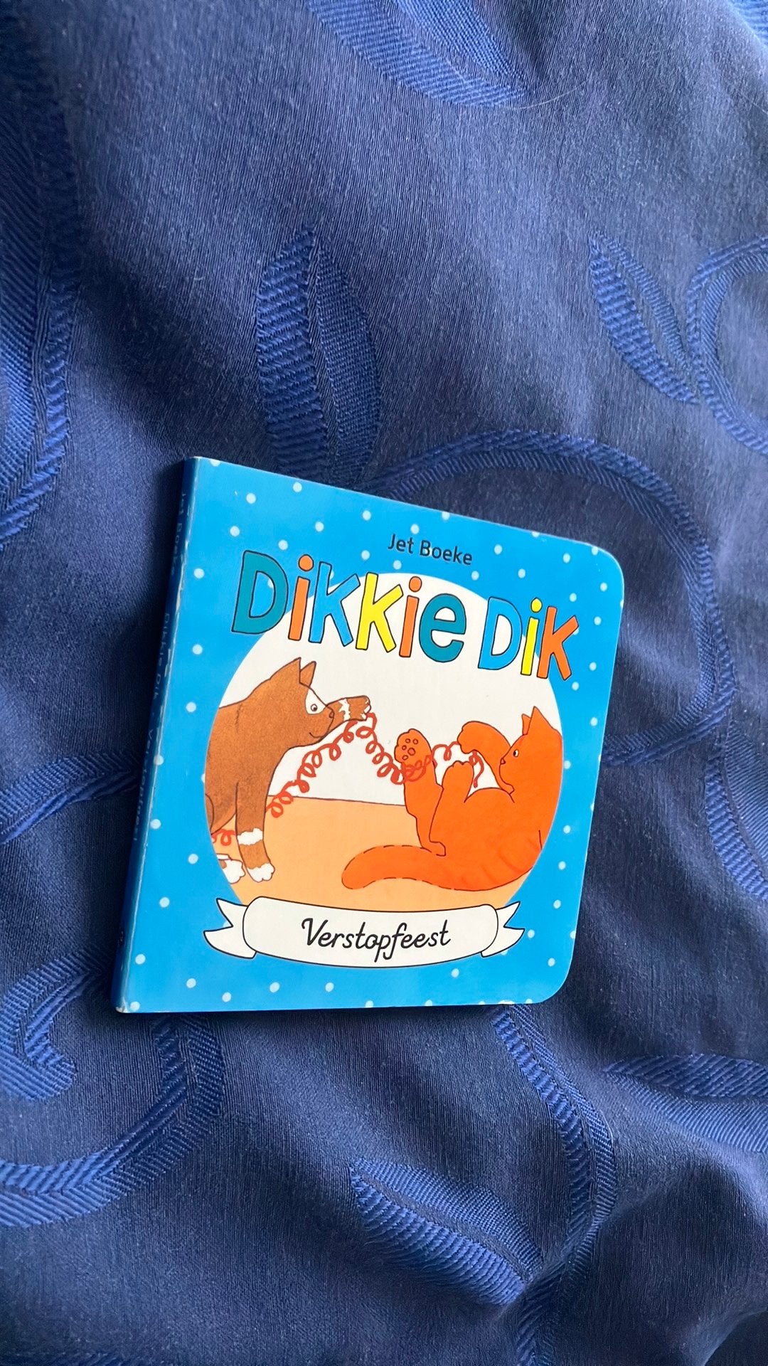 Dikkie Dik Verstopfeest - Jet Boeke, Ophalen of Verzenden, Nieuw, Uitklap-, Voel- of Ontdekboek, 1 tot 2 jaar
