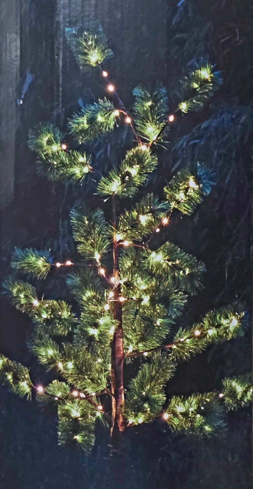 Gratis kerstboom, Diversen, Ophalen