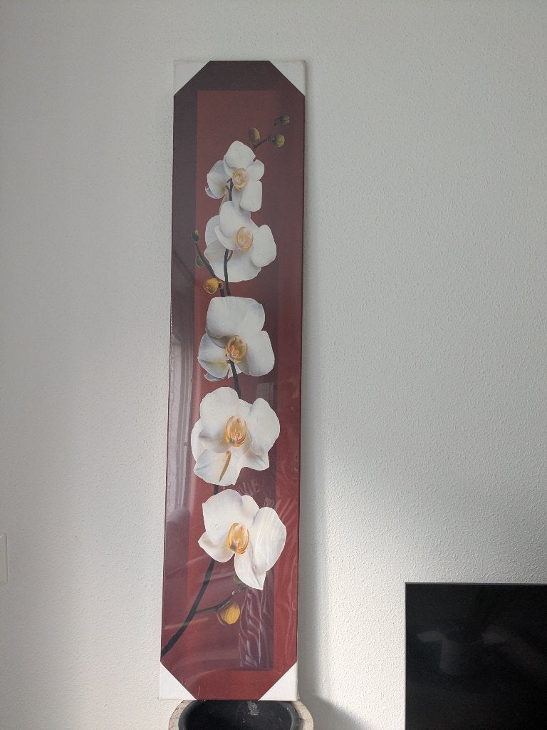 Nieuw canvas schilderij in verpakking, Huis en Inrichting, Ophalen, Nieuw, Schilderij, 100 tot 125 cm