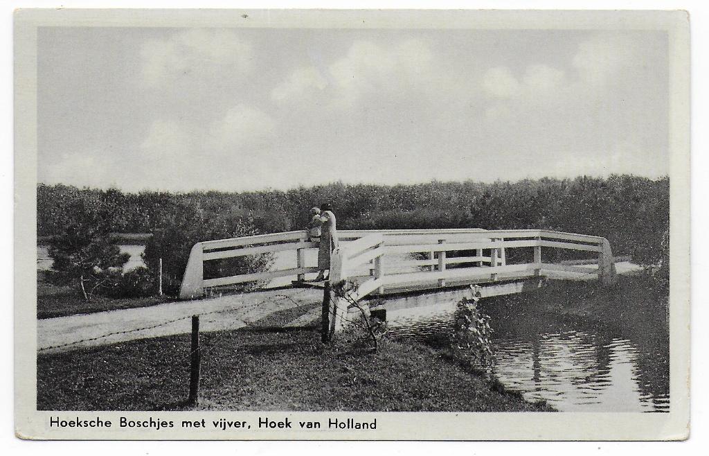 Hoek van Holland  Ongelopen  Ansichtkaart  (B8351 ), Ophalen of Verzenden, 1940 tot 1960, Ongelopen, Zuid-Holland
