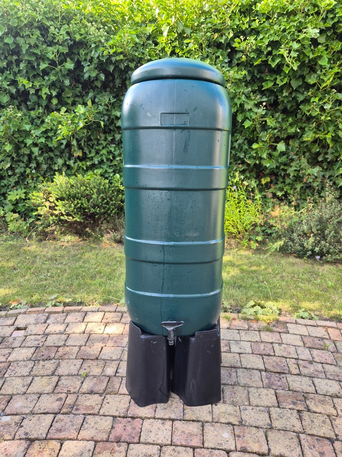 regenton groen, Tuin en Terras, 150 liter of meer, Ophalen, Zo goed als nieuw, Kunststof