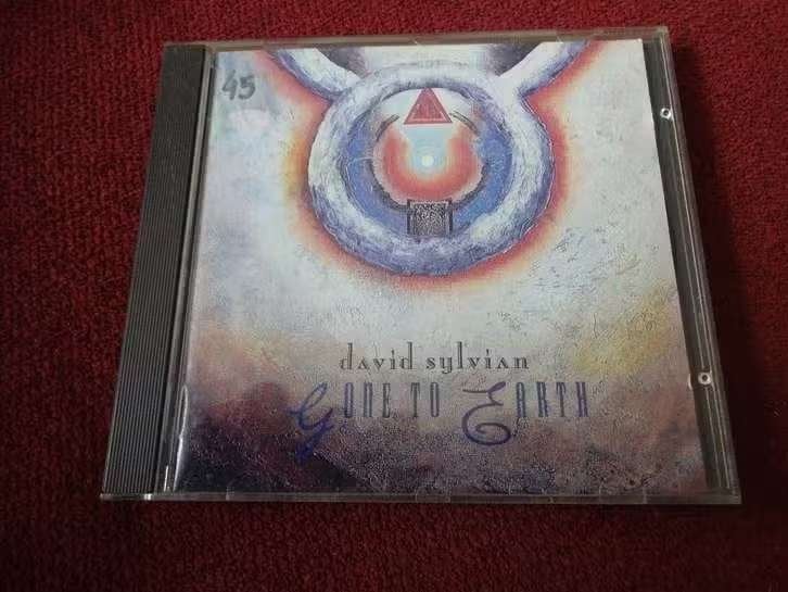 CD David Sylvian – Gone To Earth , CDVDL-1 Rock, Gebruikt, Overige genres, Ophalen of Verzenden, Album