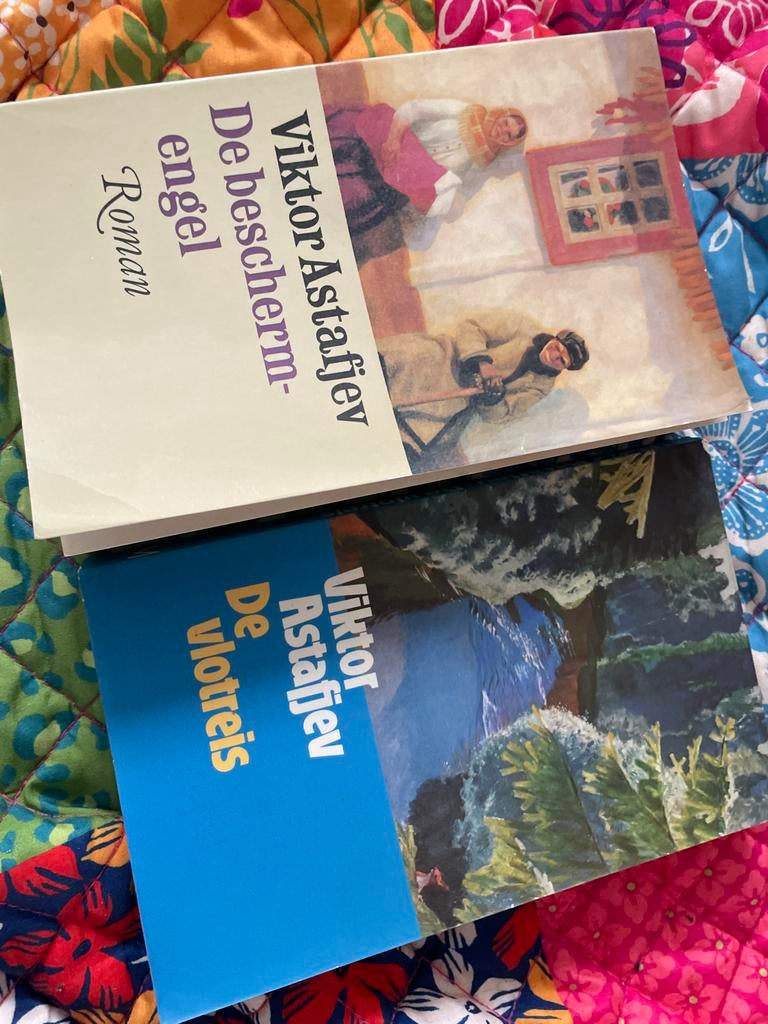 Viktor Astafjev - De beschermengel & De vlotreis, Boeken, Romans, Gelezen, Nederland, Ophalen of Verzenden