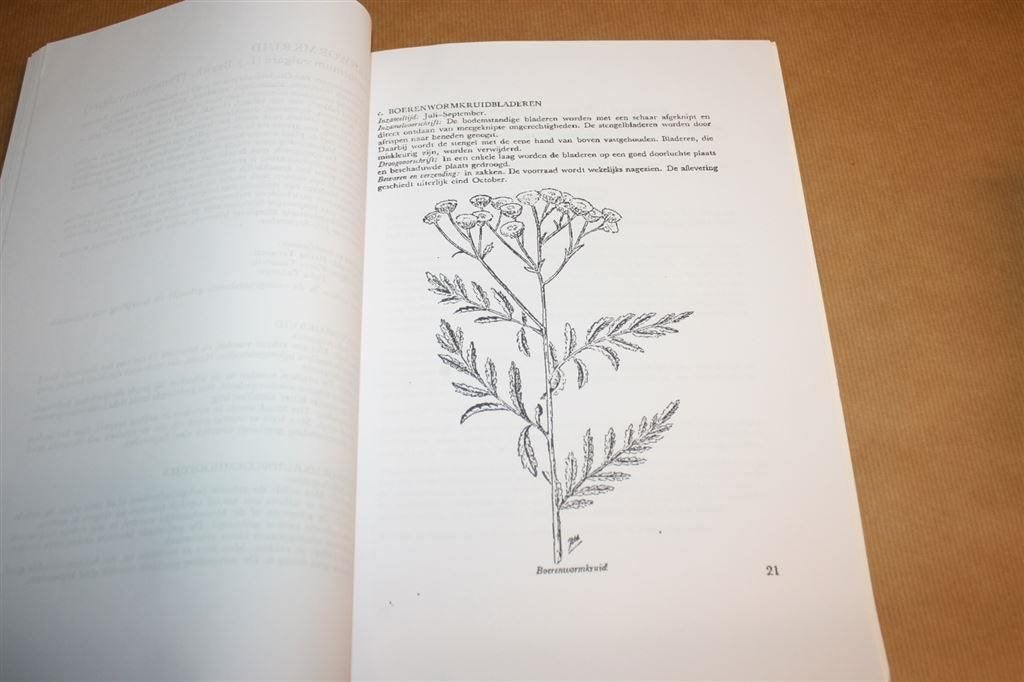 Geneeskruiden van eigen bodem, Ophalen of Verzenden, Gelezen