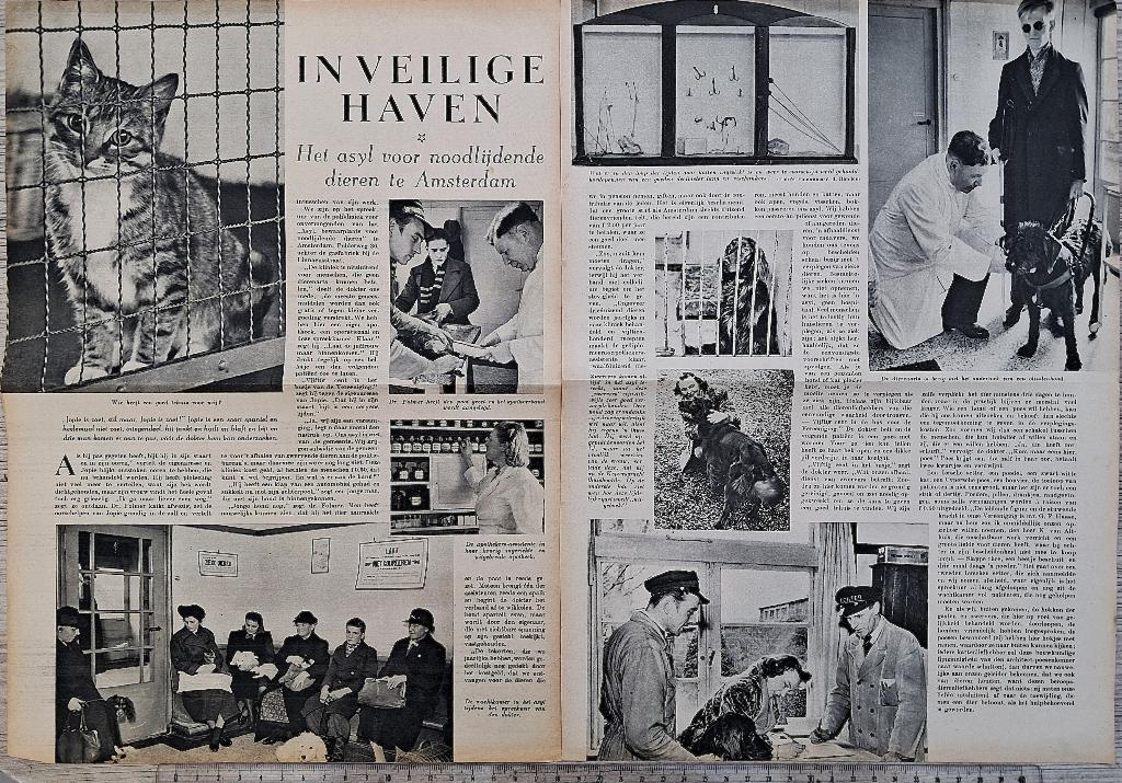 Amsterdam 1941,art.2blz.over het asiel v.noodlijdende dieren, Verzenden, 1940 tot 1960, Gebruikt, Dier