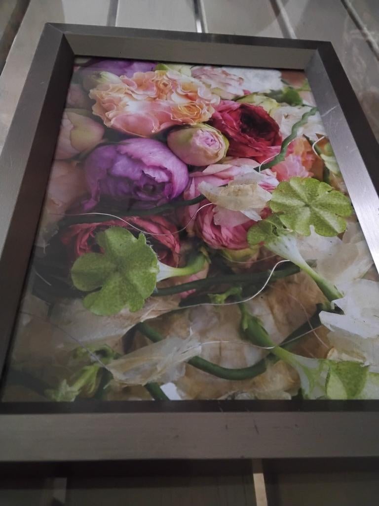 Henzo fotolijst, Ophalen of Verzenden