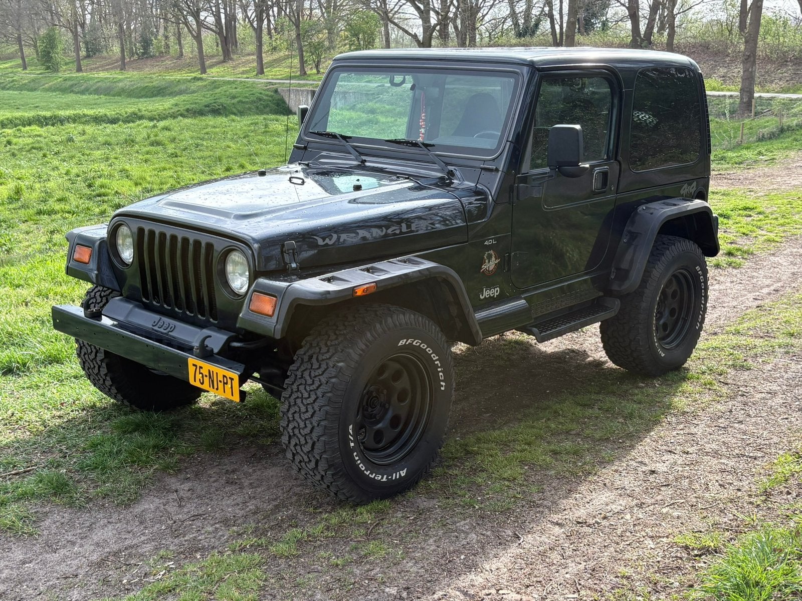 Jeep Wrangler 4.0 L Sahara Edition 1999, Auto's, Jeep, Cabriolet, Zwart, 75 €/maand, Particulier