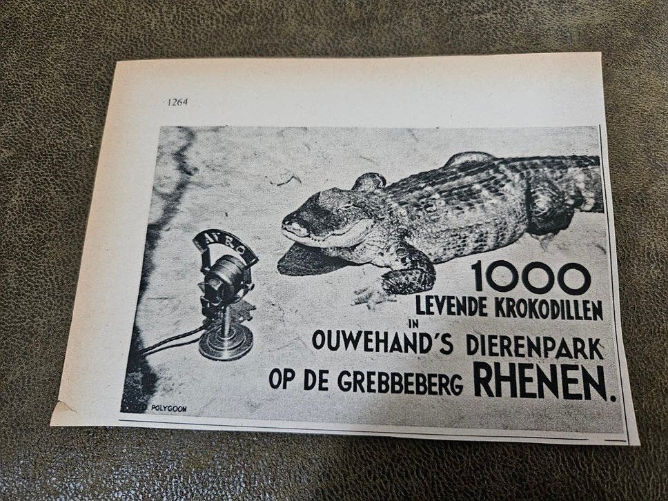 Ouwehand's Dierenpark Rhenen - 1000 Levende Krokodillen, Ophalen of Verzenden