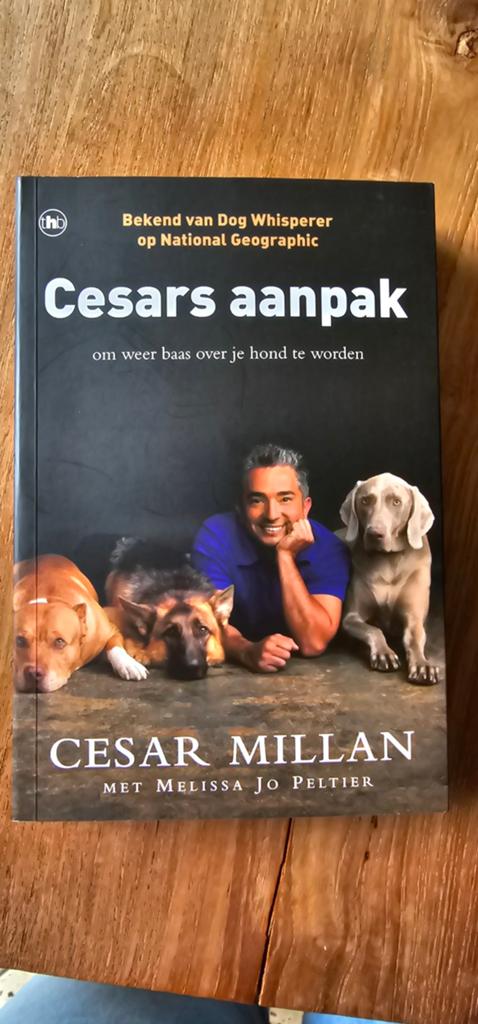 Cesars aanpak: word weer baas over je hond - Cesar Millan, Boeken, Dieren en Huisdieren, Ophalen of Verzenden