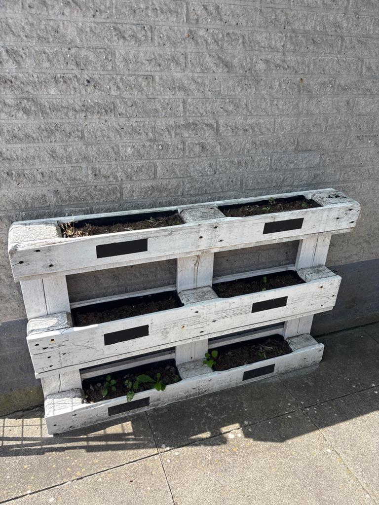 Gratis af te halen: Pallet kruiden plantenbak, Ophalen, Gebruikt, 100 cm of meer, Balkon