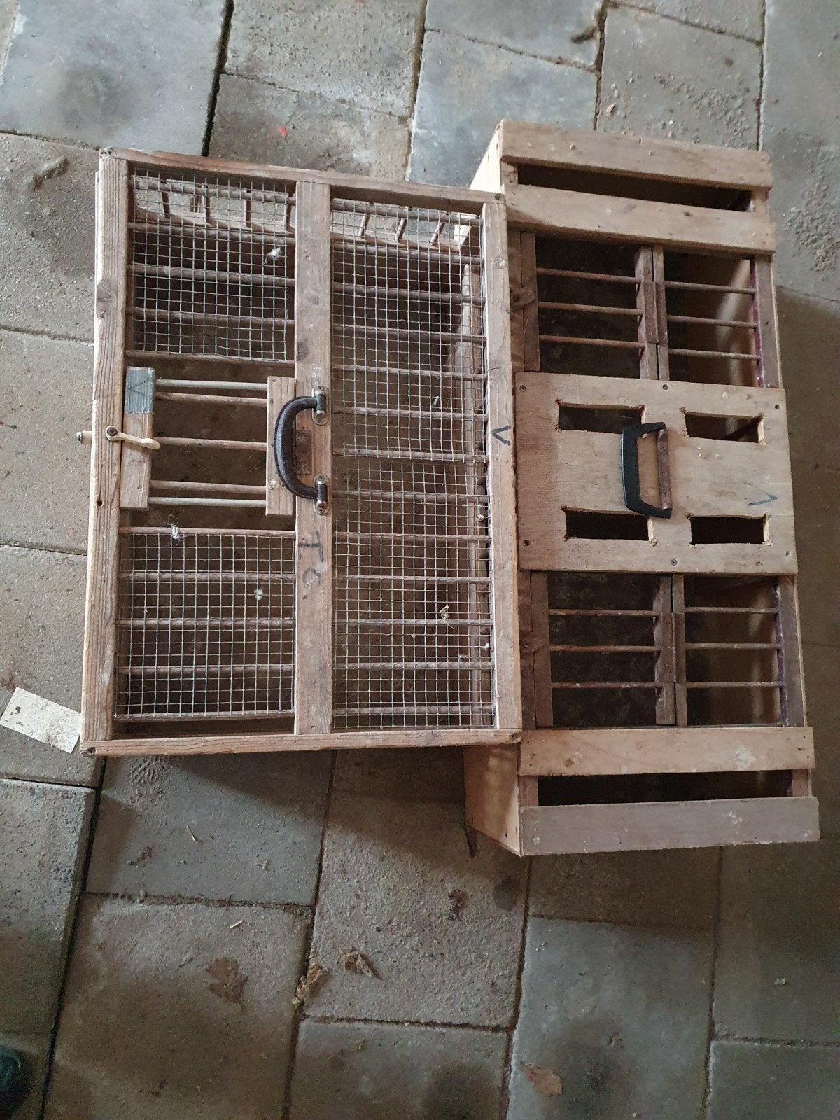 2 stuks duivenkisten , ophalen in leidschendam., Meerdere dieren, Postduif
