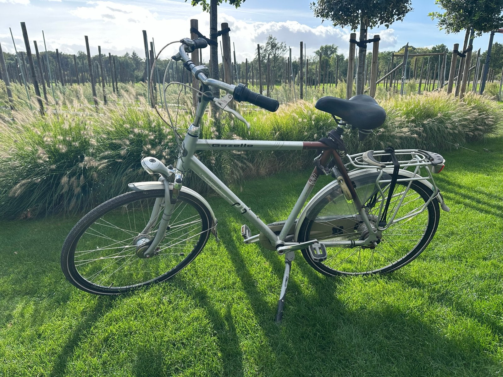 Gazelle Chamonix Plus herenfiets - Gebruikt, Ophalen of Verzenden, Gebruikt, Gazelle
