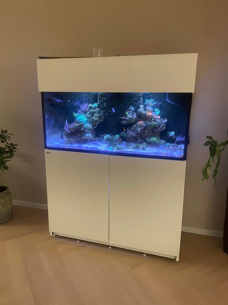 Red Sea Reefer 350G2 - complete hobby, Ophalen, Zo goed als nieuw, Gevuld zeewateraquarium