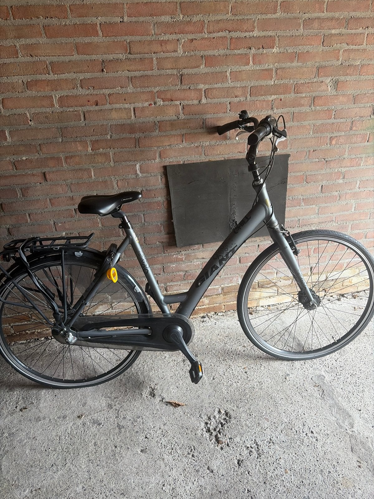 Giant Wave Damesfiets - Weinig gebruikt, voorwiel mist spatb, Ophalen, Gebruikt, Velgrem, Versnellingen