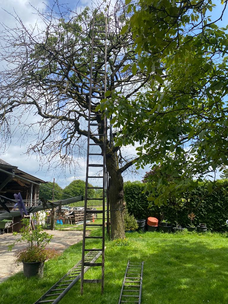 26 treden houten fruitladder Decoratieve vintage, Ophalen of Verzenden