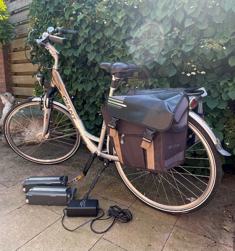 Elektrische damesfiets Giant Double twist Go, Fietsen en Brommers, Fietsen | Dames | Damesfietsen, Ophalen, Gebruikt, Velgrem