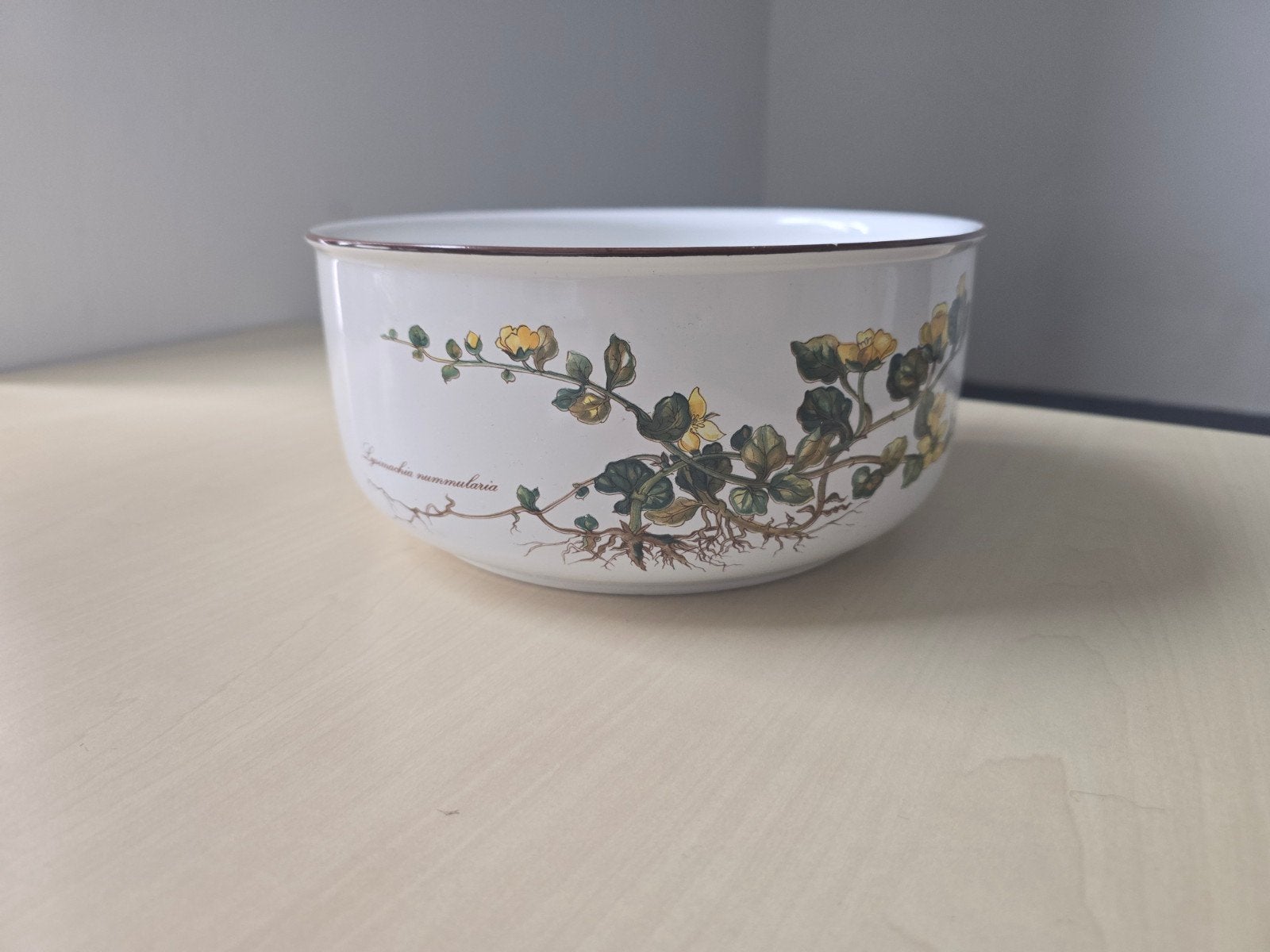 Villeroy & Boch Botanica Schaal - Lysimachia nummularia, Porselein of Keramiek, Schaal, Vaatwasserbestendig, Rond