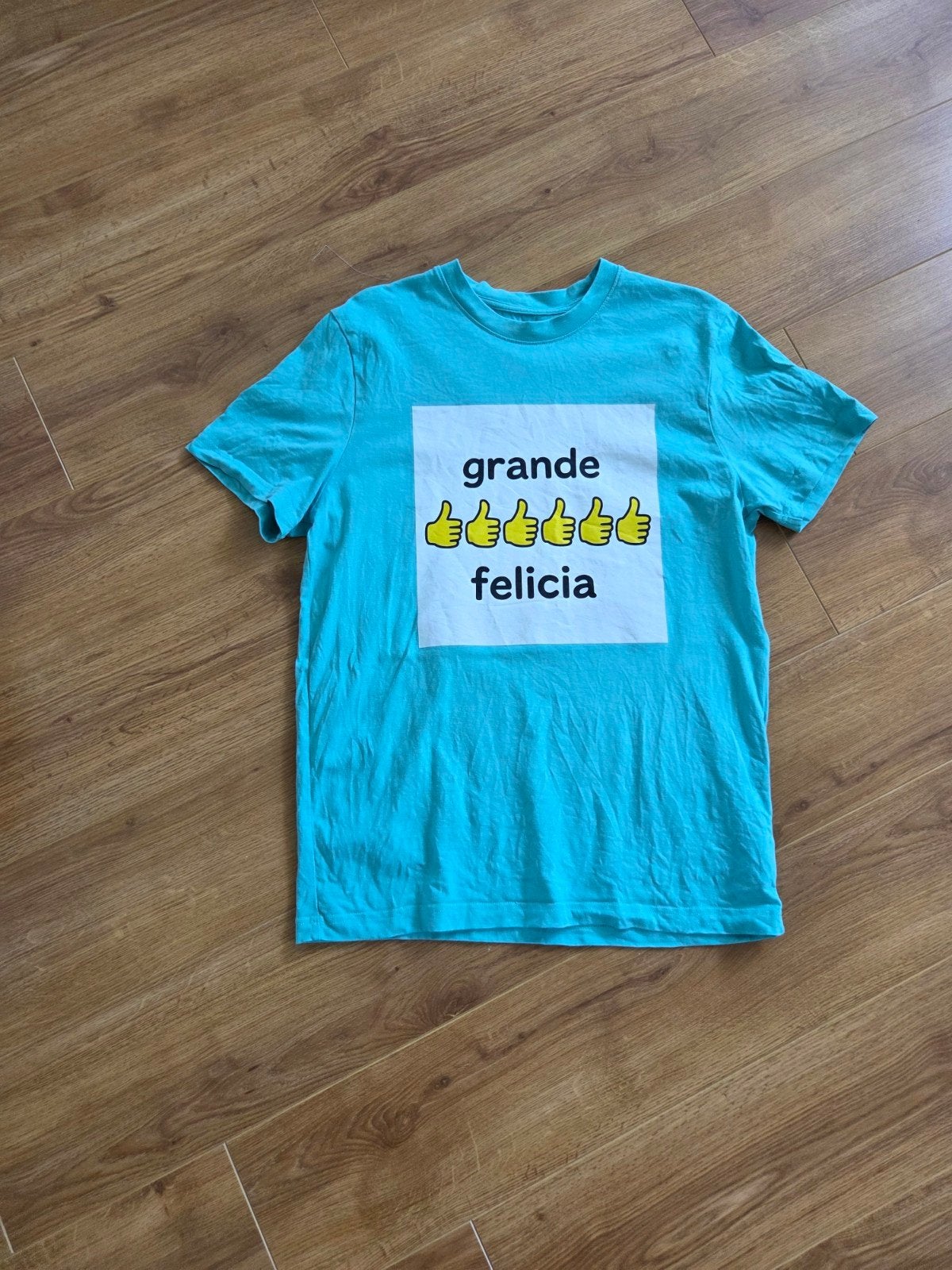 Bankzitters T-shirt 'Grande Felicia', Ophalen, Zo goed als nieuw, Maat 48/50 (M), Overige kleuren