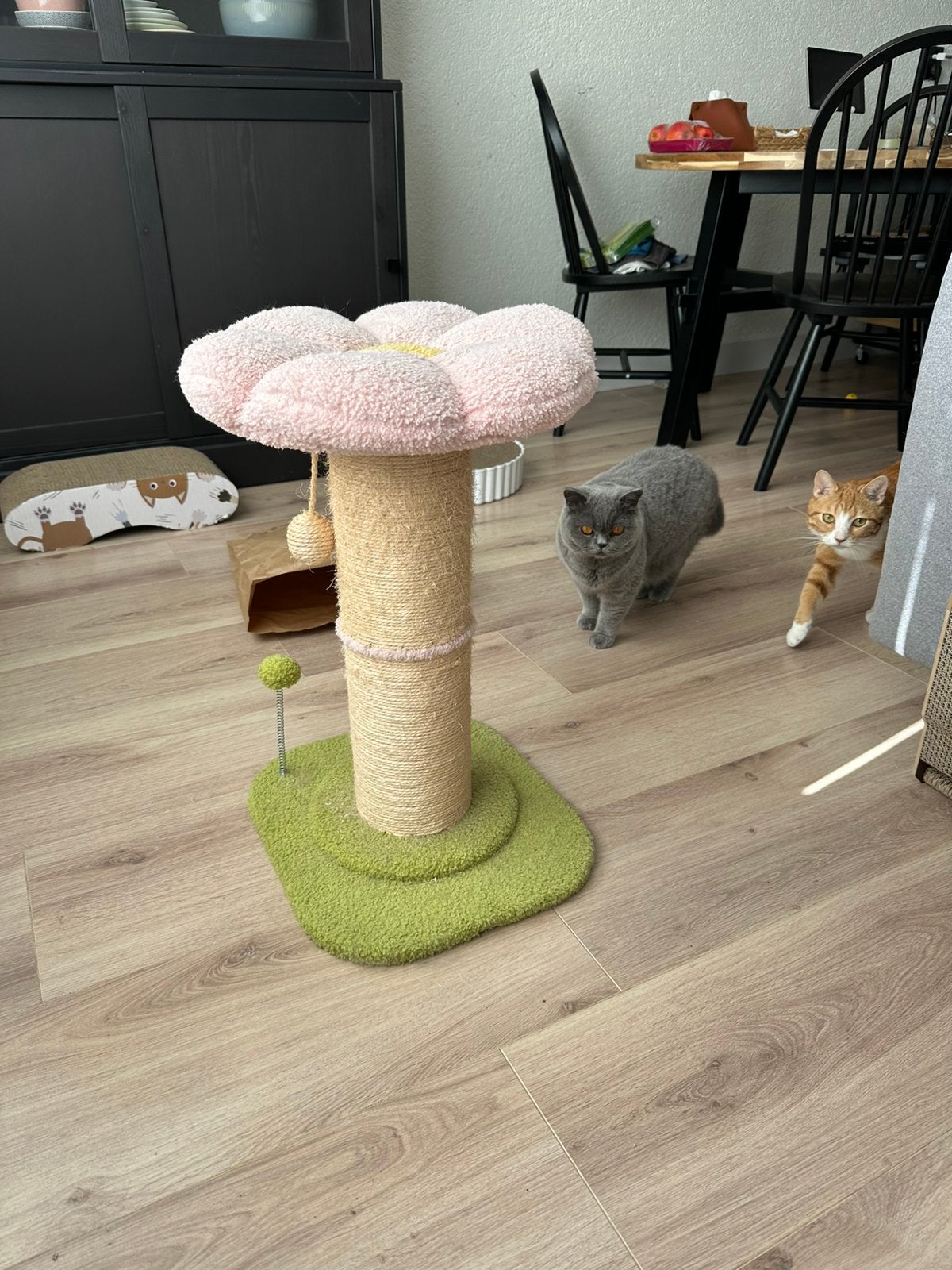 Flower cat tree | krabpaal bloemen, Dieren en Toebehoren, Ophalen, Zo goed als nieuw, Krabpaal