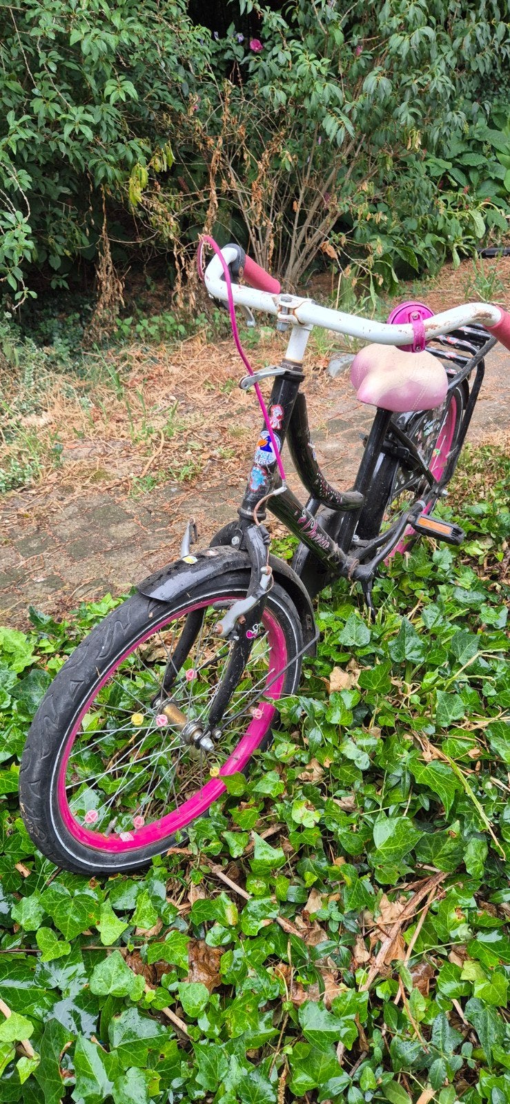 Kinderfiets 16 inch met roze accenten en bagagedrager, Ophalen, 16 tot 20 inch, Gebruikt, Onbekend