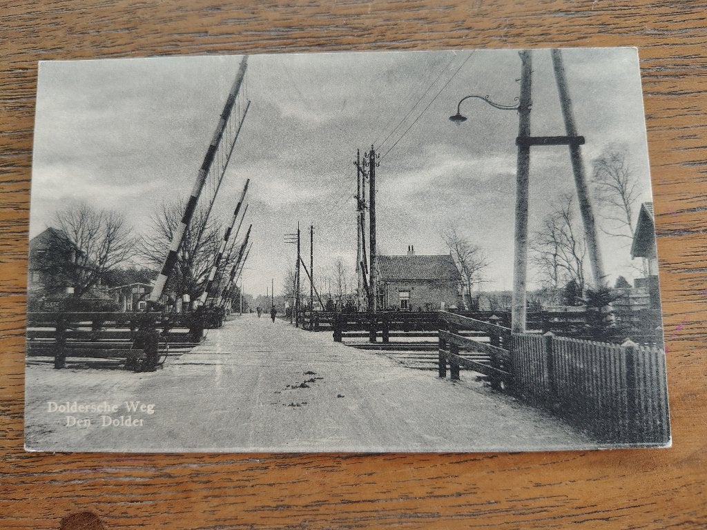 Den Dolder Doldersche weg, Ophalen of Verzenden, Voor 1920, Zuid-Holland