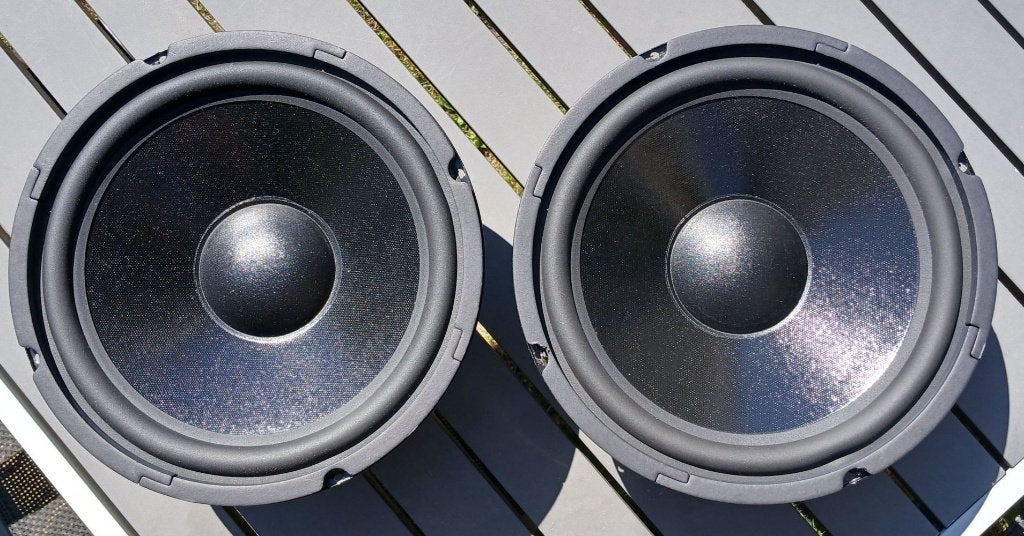 2 Losse 25 cm woofers : Dayton Audio DC250-8
