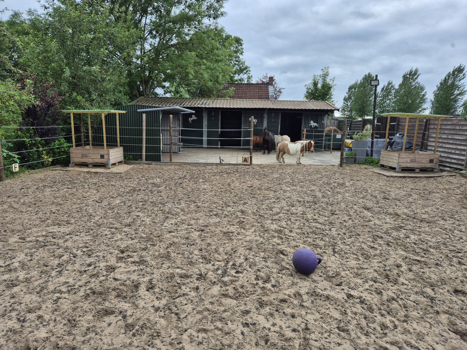 Per direcht Stalling aangeboden voor pony’s tot 1,10, Stalling