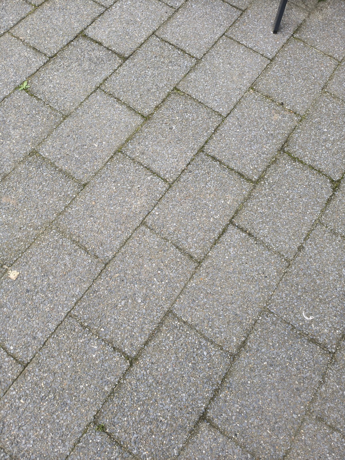 +/- 20 m² betontegels 30x20x6 (gratis af te halen), Ophalen, Gebruikt, Beton, Terrastegels
