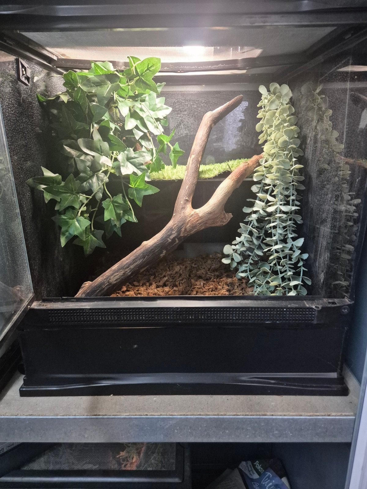 zoo-med terrarium 46x46x48 cm, Ophalen