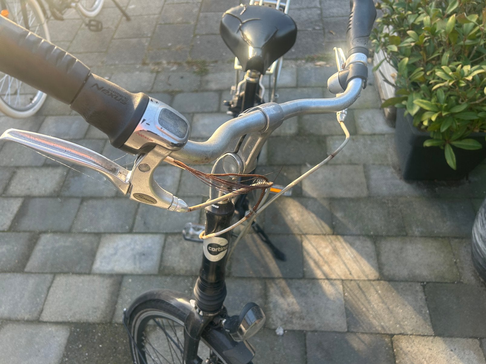 Cortina dames fiets 28inch, Ophalen, Gebruikt, Overige merken