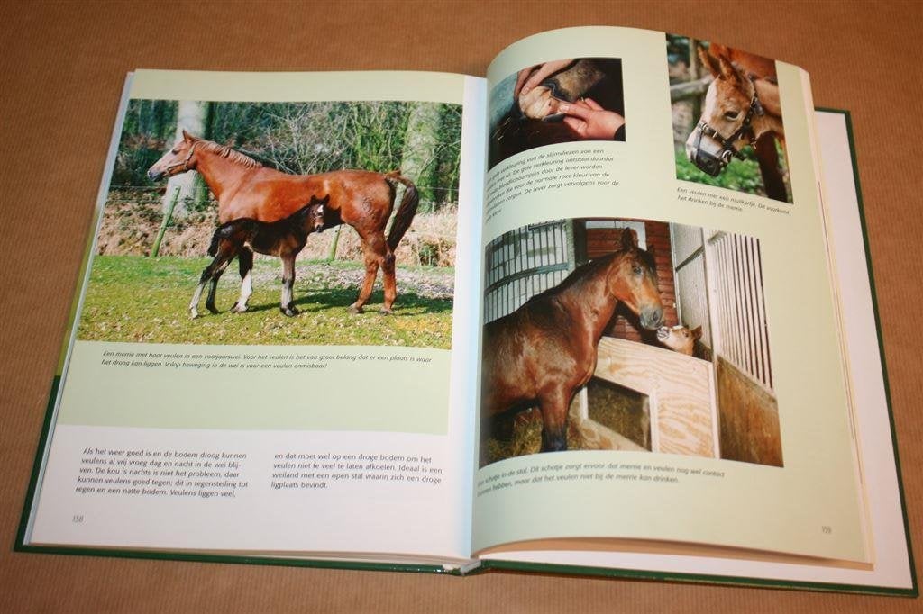 Paardenfokkerij - Dekken, dracht, geboorte, het veulen, Ophalen of Verzenden, Zo goed als nieuw, Katten