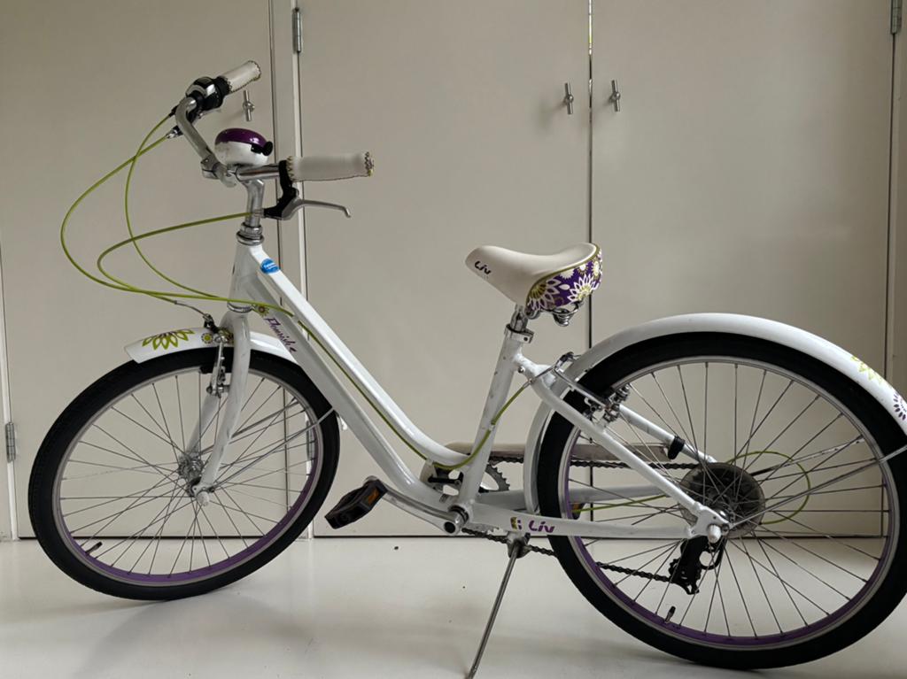 Te koop leuke Meiden fiets, Ophalen, Zo goed als nieuw