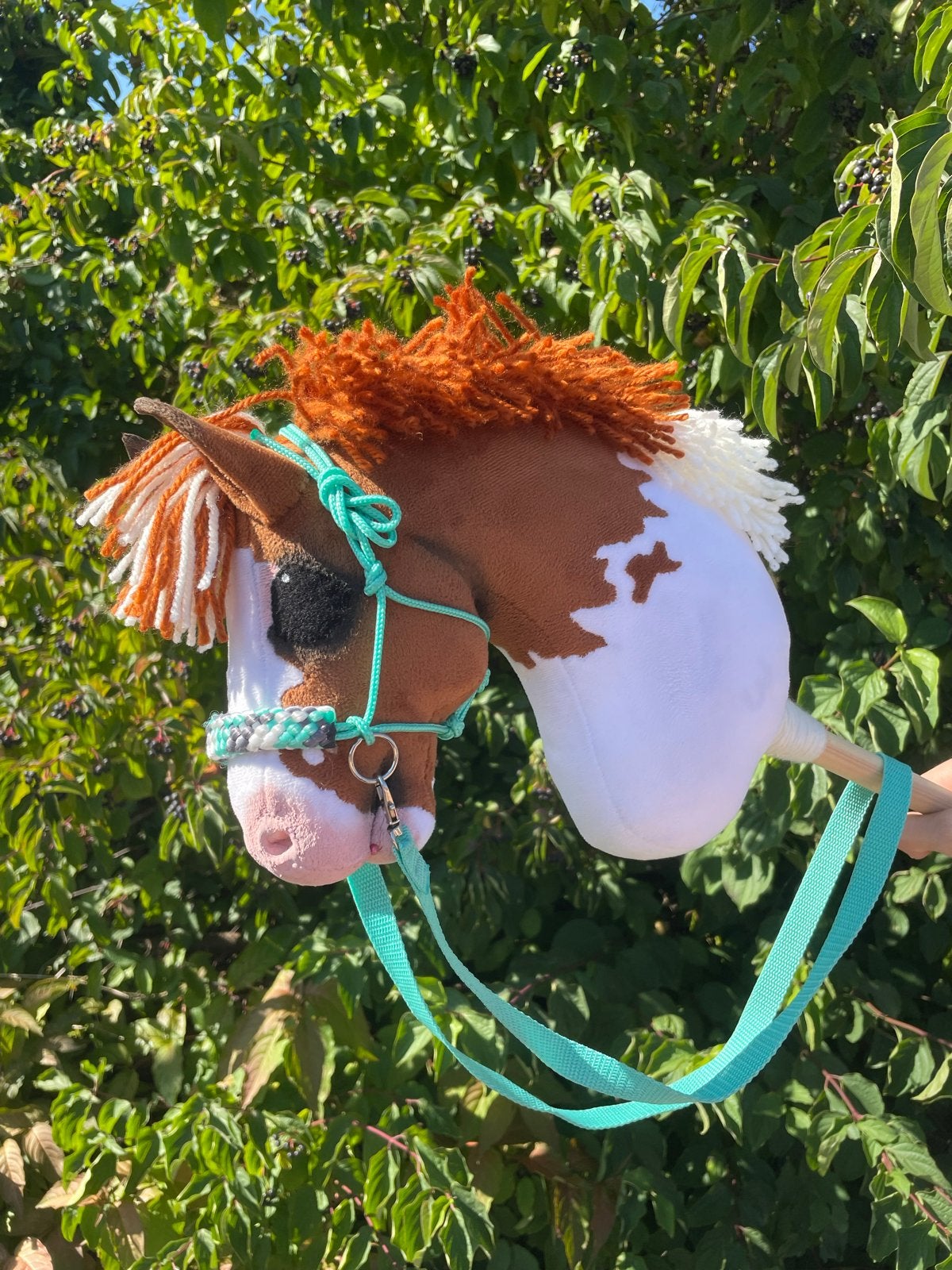 Hobby horse, Ophalen of Verzenden, Nieuw, Jongen of Meisje