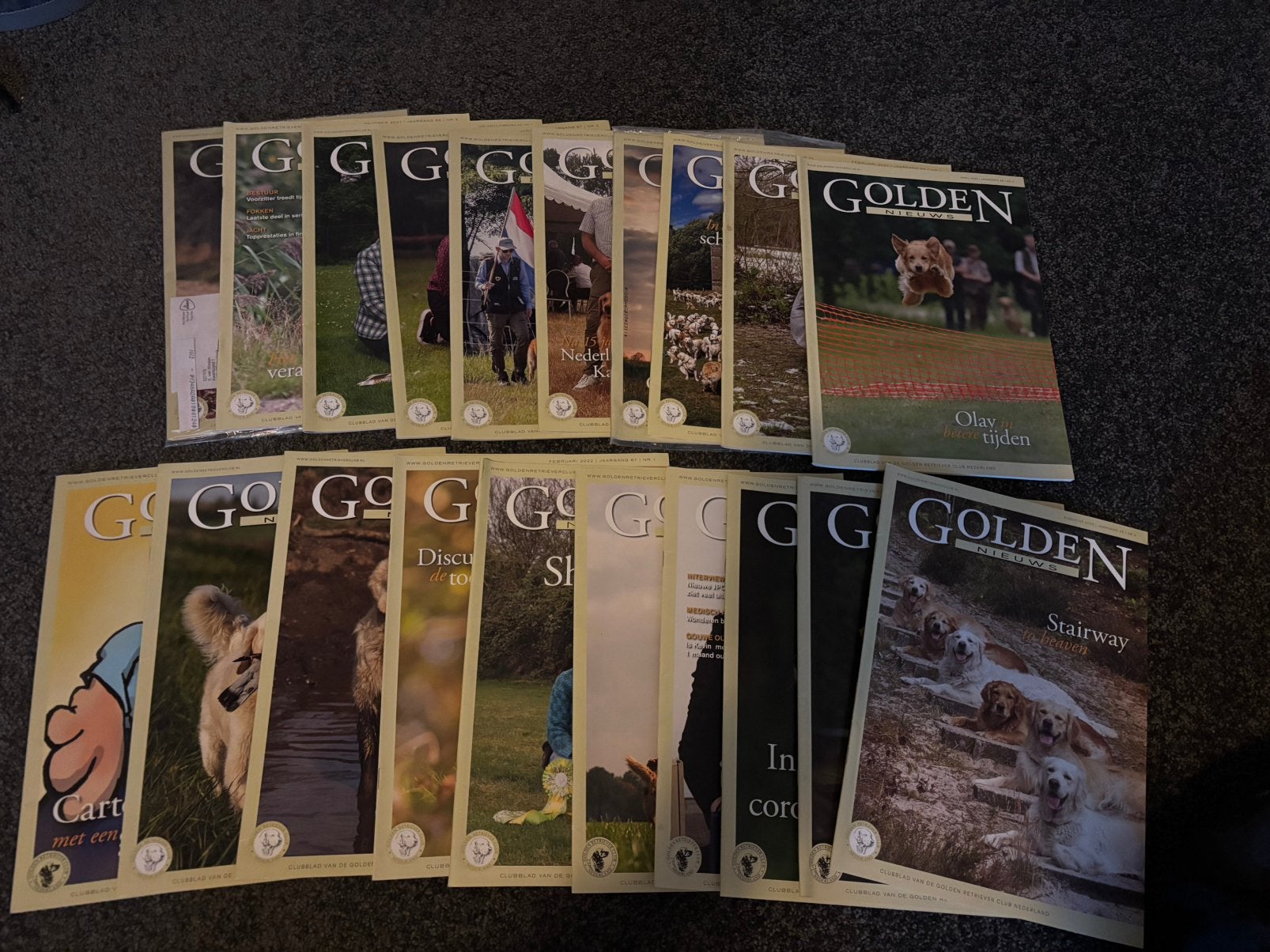 20 x clubblad golden retriever, Ophalen of Verzenden, Zo goed als nieuw, Muziek, Film of Tv