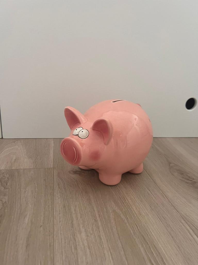 Leuk Spaarvarken, Ophalen, Gebruikt, Kunststof, Minder dan 50 cm