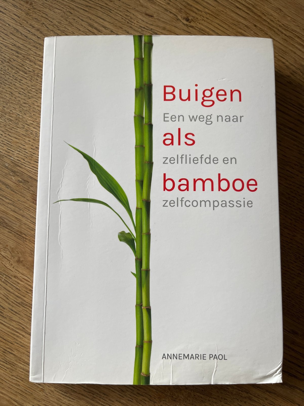 Buigen als Bamboe: Zelfliefde en Zelfcompassie, Ophalen of Verzenden, Zo goed als nieuw, Overige onderwerpen
