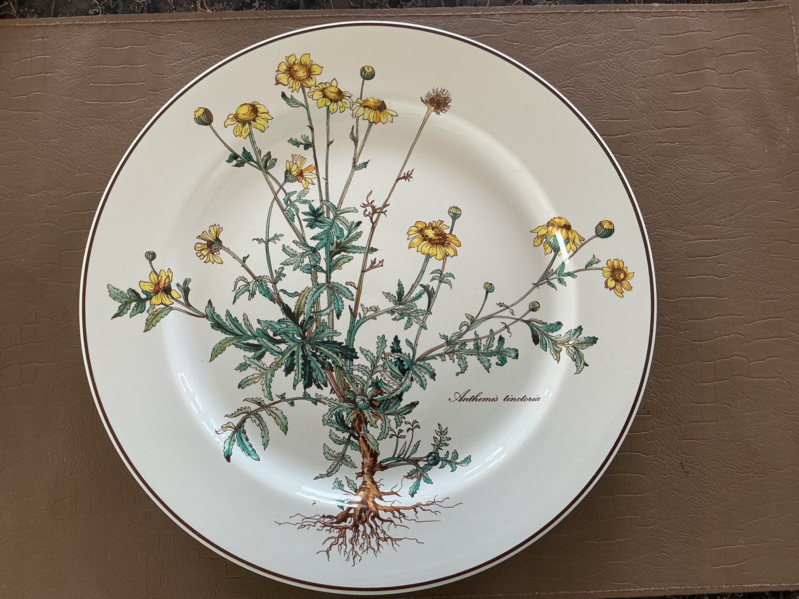 Dinerbord 27 cm. Villeroy & Boch Botanica perfecte staat, Ophalen, Nieuw, Bord(en), Klassiek