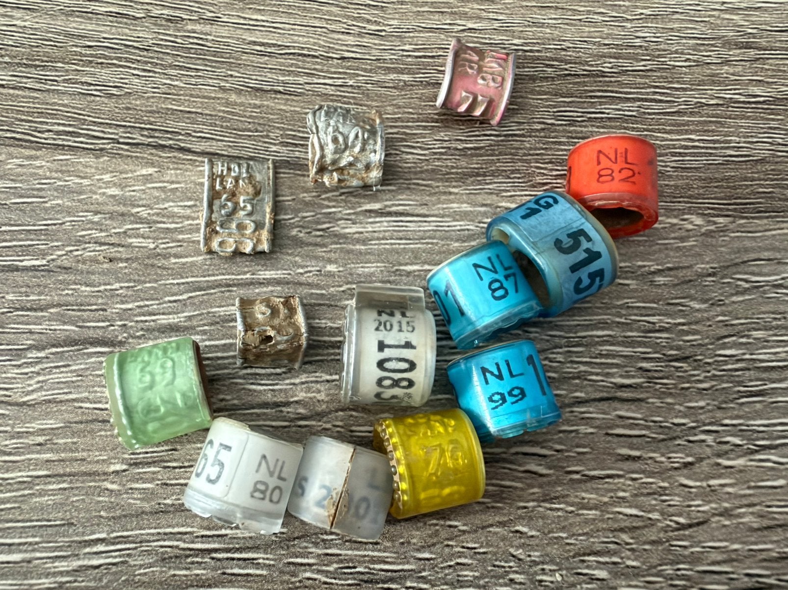 Duivenringen, Overige merken, Overige materialen, Ophalen of Verzenden, Zo goed als nieuw