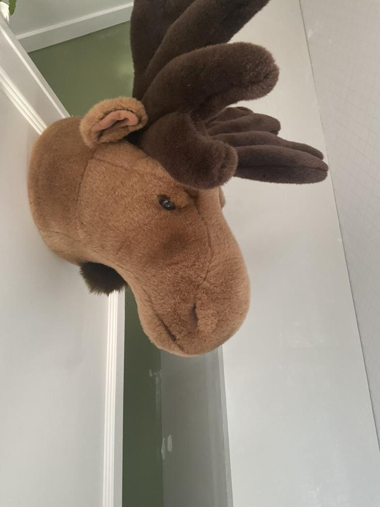Eland pluche kop, Kinderen en Baby's, Kinderkamer | Inrichting en Decoratie, Ophalen of Verzenden, Zo goed als nieuw, Wanddecoratie
