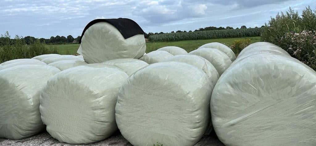 Balen, Dieren en Toebehoren, Ophalen, Vee