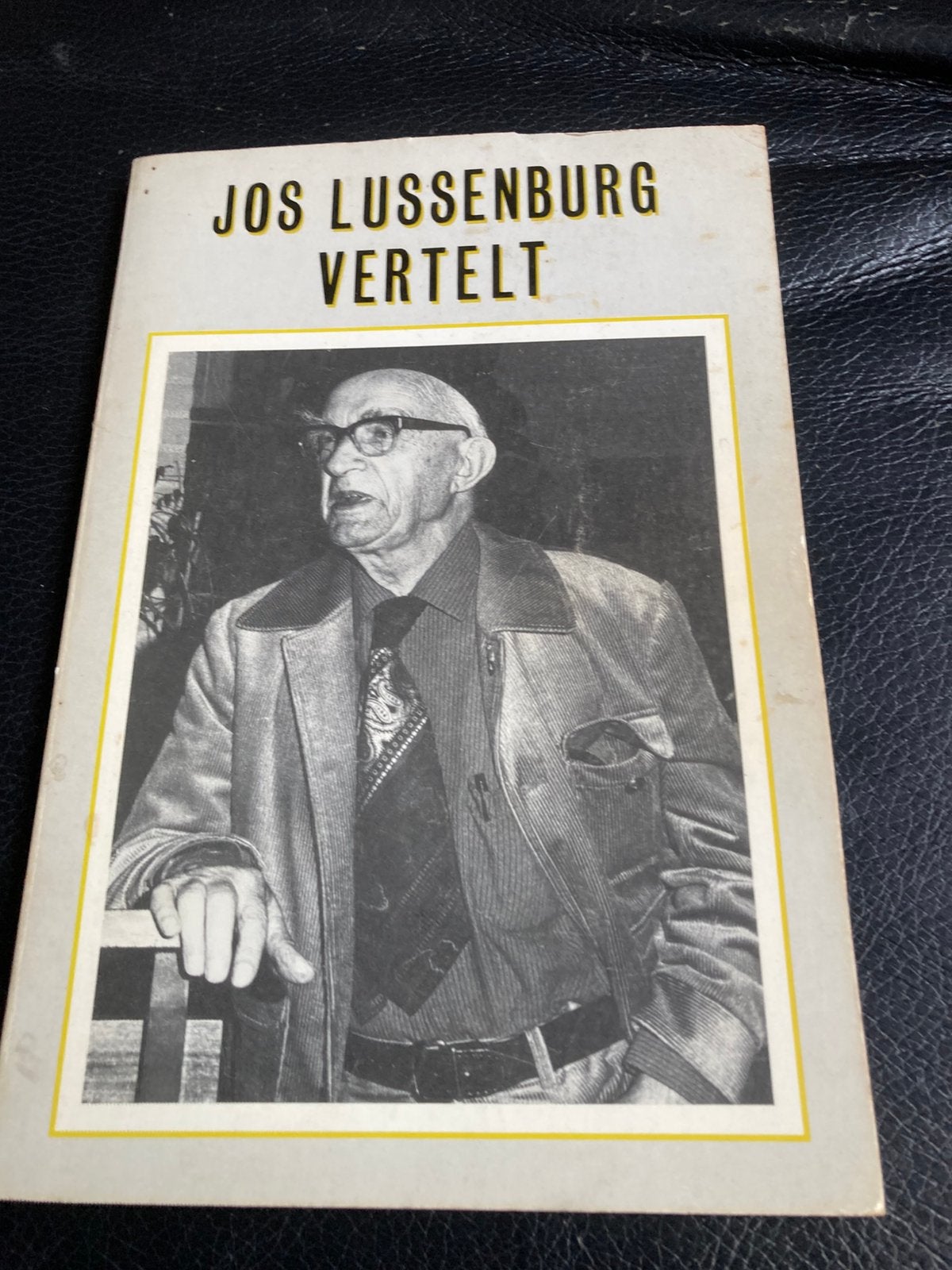 Kunstschilder: Jos Lussenburg vertelt, Ophalen of Verzenden, Gelezen