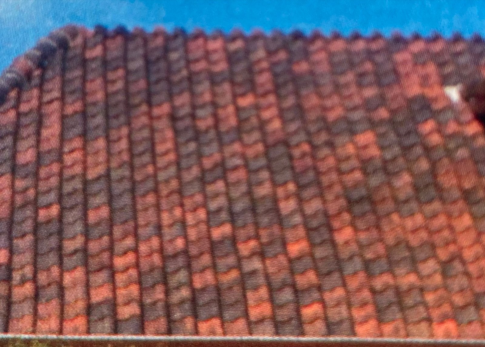 Gebruikte dakpannen van Dakpannenfabriek De Valk J. Meeuwiss, Ophalen, Gebruikt, Steen of Klei, 15 m² of meer