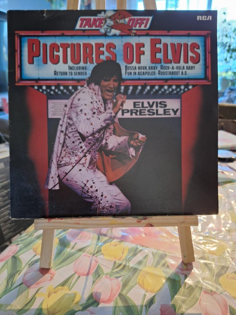 Elvis Presley - Pictures of Elvis LP (RCA) alleen hoes, Ophalen of Verzenden, Gebruikt, 12 inch