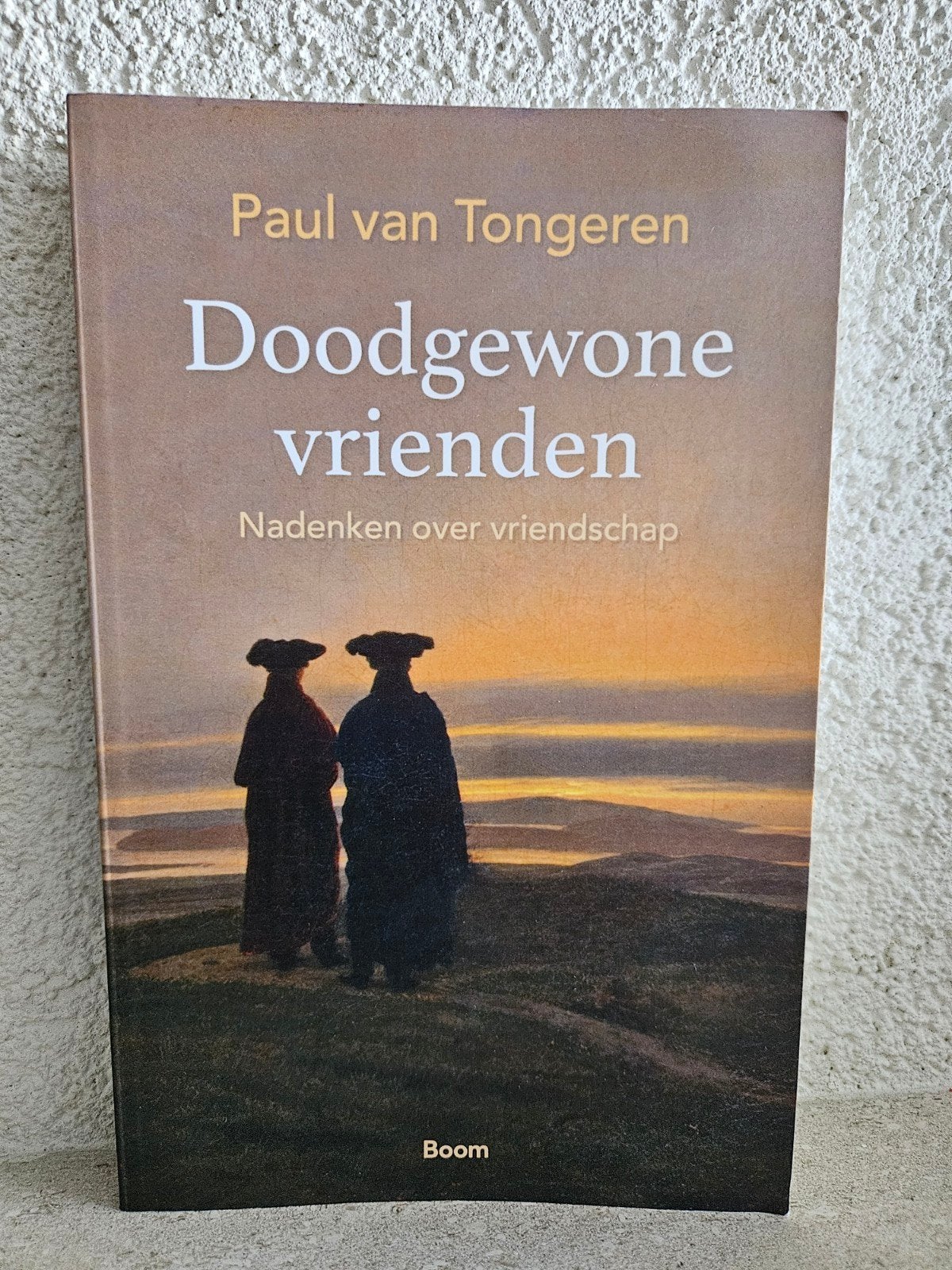 Doodgewone vrienden - Paul van Tongeren (Filosofie), Ophalen of Verzenden, Zo goed als nieuw, Wijsbegeerte of Ethiek, Paul van Tongeren