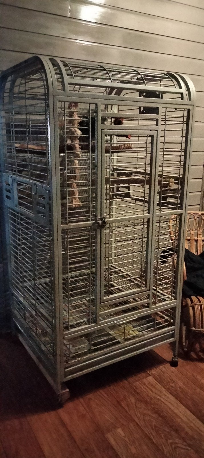 Grote papagaaien kooi, Dieren en Toebehoren, Ophalen, Gebruikt, Metaal, Vogelkooi