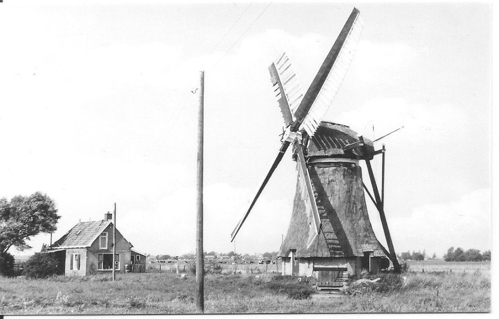 Oude Ansichtkaart Schalsum bij Groot Molster, Molen, Ophalen of Verzenden, 1960 tot 1980, Ongelopen, Friesland