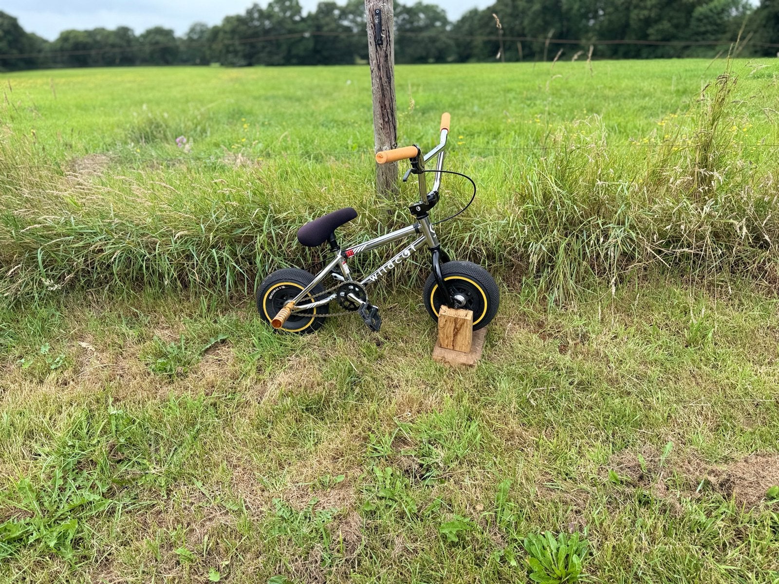 Wildcat Mini BMX/Rocker met rem, Fietsen en Brommers, Fietsen | Crossfietsen en BMX, Ophalen, Staal, Velgrem, Voetsteunen