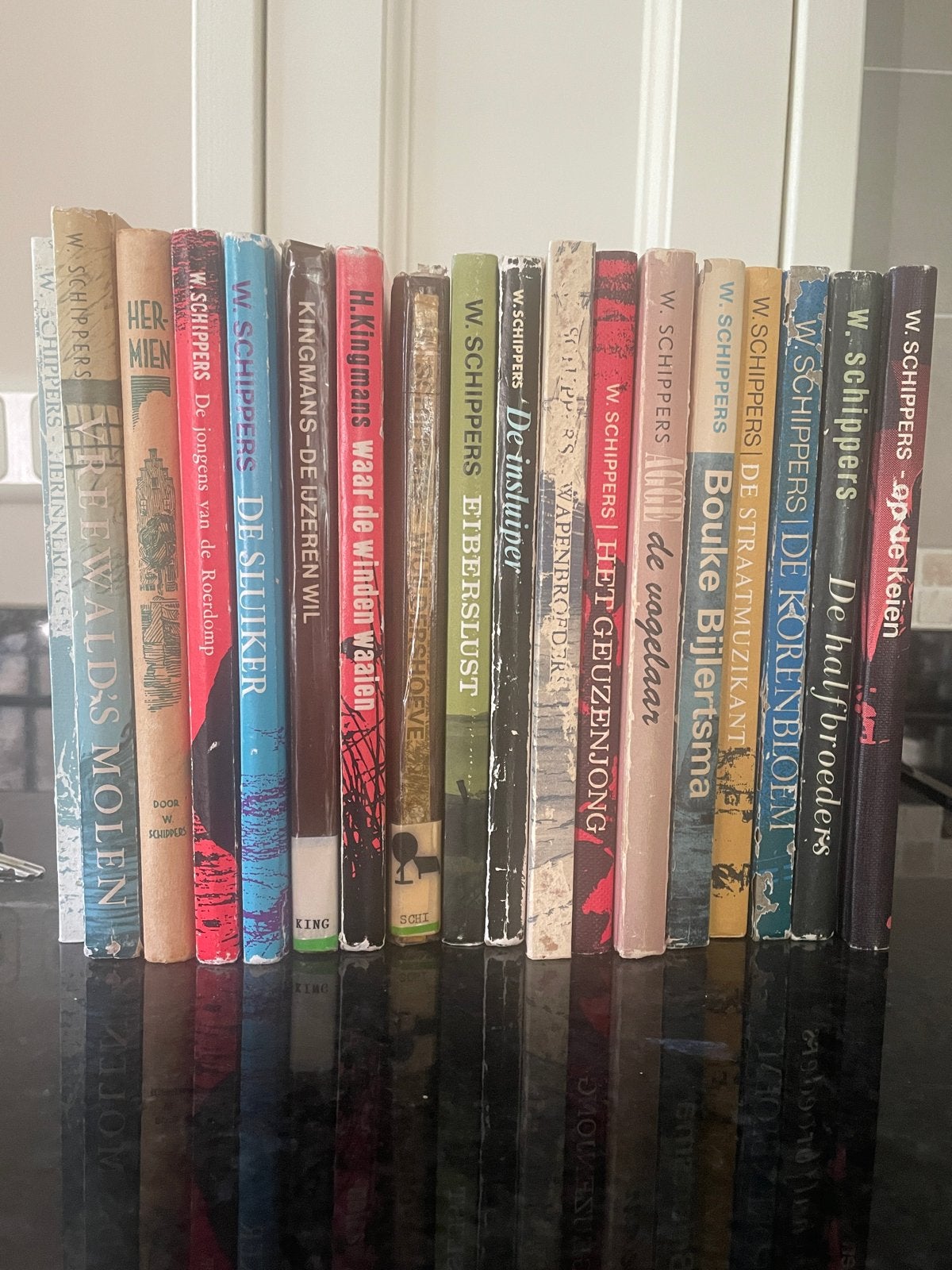 Collectie W. Schippers Boeken - Diverse Titels (18 stuks), Ophalen of Verzenden, Gelezen, Nederland